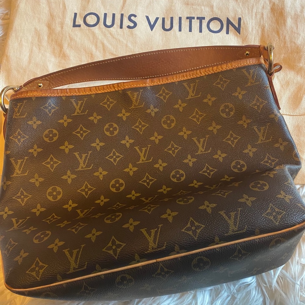 Louis Vuitton Delightful PM handbag